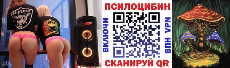 сколько стоит Северобайкальск Псилоцибиновые грибы мухоморы