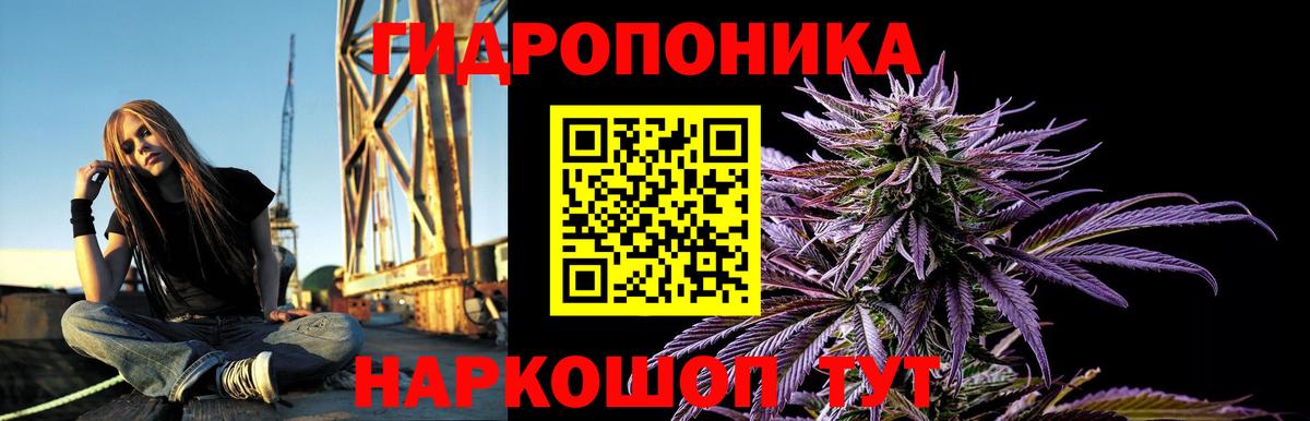 Бошки Шишки OG Kush  Конопля марихуана  Северобайкальск  Вход с VPN 
